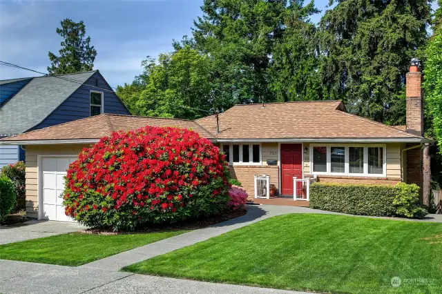 Front picture of the home when the rhododendron was in full bloom in early June.