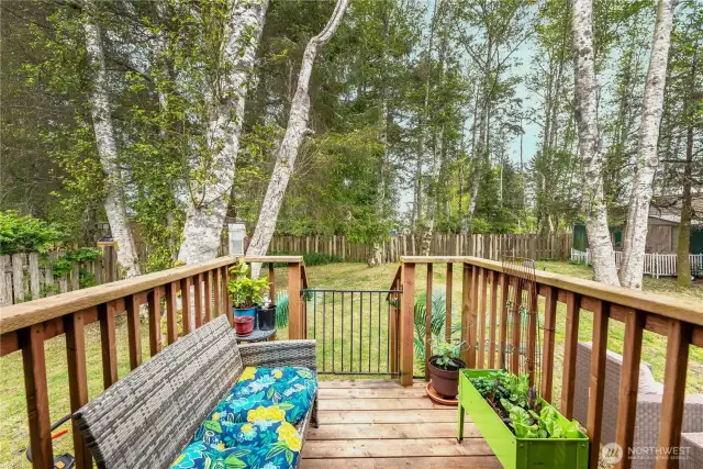 Private fenced backyard with no homes behind the yard