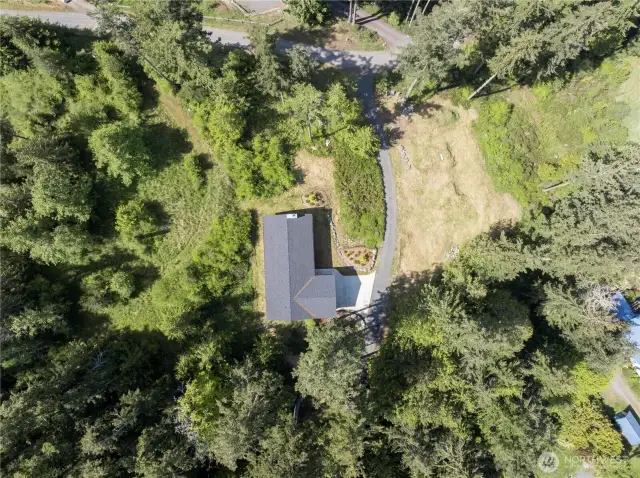 Real birds-eye view.