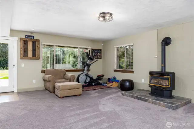 Daylight Basement