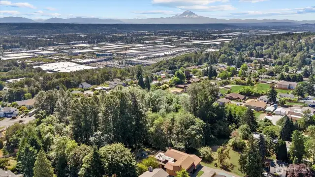 McMicken Heights community offers Mt Rainier vistas, restaurants, gas & Safeway shopping a few bocks up the street, SeaTac Airport just a couple miles over the hill as well as the new Transit just a mile over. AND This home is on a private acre lot that sits one lot back off 51st Av S.