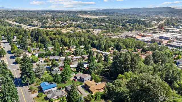 Located "ON THE HUB" Seattle only 25 minutes north, Westfield Southcenter Mall; One of THE largest retail destinations in the Pacific Northwest is just 5 minutes down the hill, East is Bellevue, and the Snoqualmie Pass beyond for ski plus tons of outdoor hiking and fun all year long