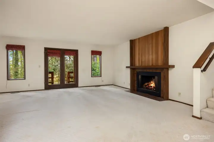 Large recreational room with fireplace and access to yard. Lower level.