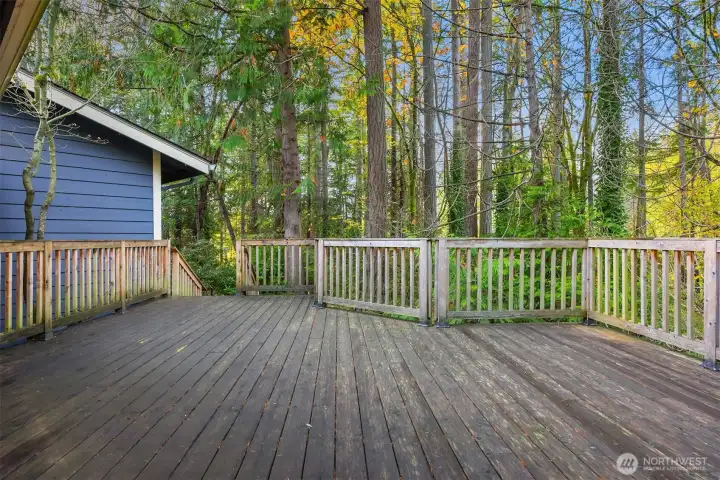 Large deck accessed from kitchen. Caution! very slippery this time of year.