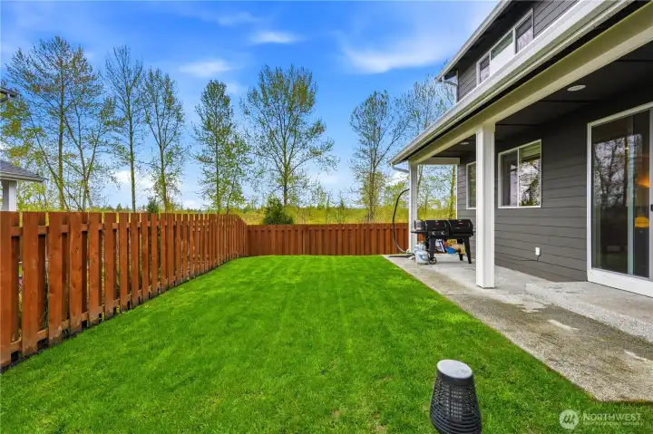 Back of House (2) Looking towards  Greenspan