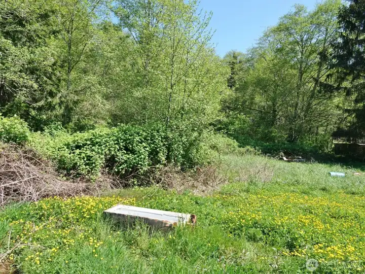 View of the property behind the home.
