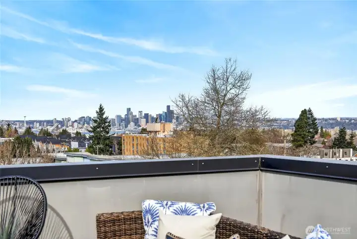 Amazing Views of the City, Sound, and Mount Baker on a Clear day!