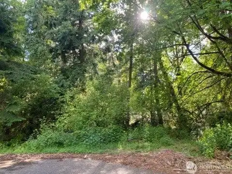 Front of Lot
