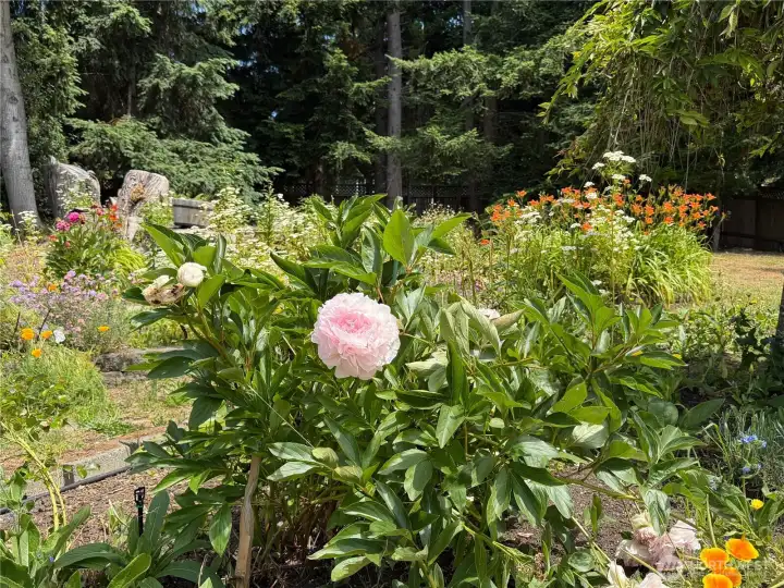 Mature and lovely landscaping.