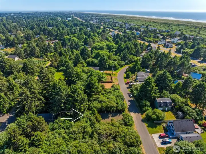 Freshly cleared center nestled entirely within a perimeter of mature trees, offering instant privacy.
