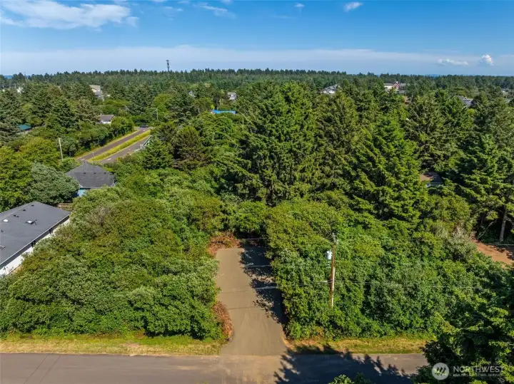 The perimeter trees were intentionally left so new owner can decide exactly how much privacy to keep or how much more to clear.
