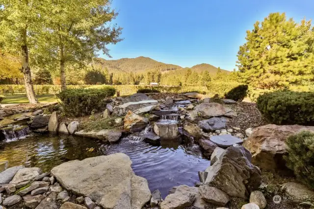 Water Feature