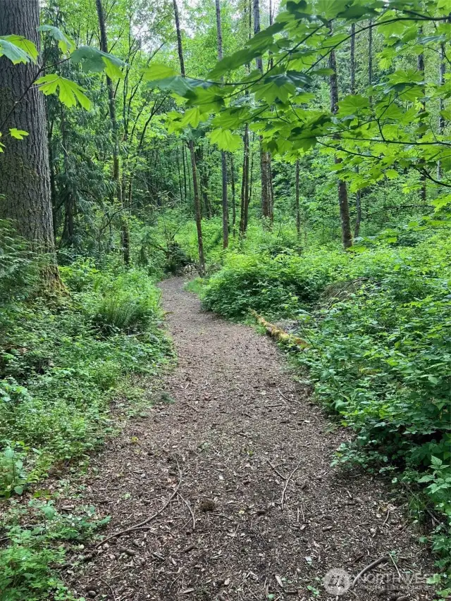 Walking trails throughout the 10 acres