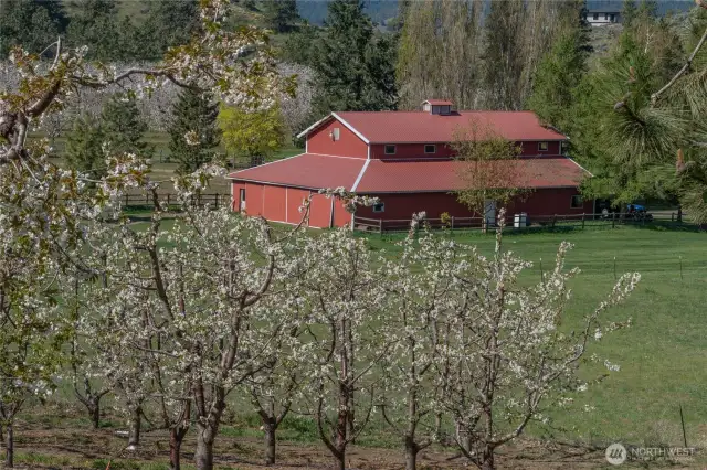 Shop/Barn or Airplane Hanger