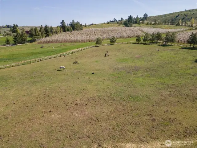 Ample room to accommodate horses and support an active equestrian lifestyle.