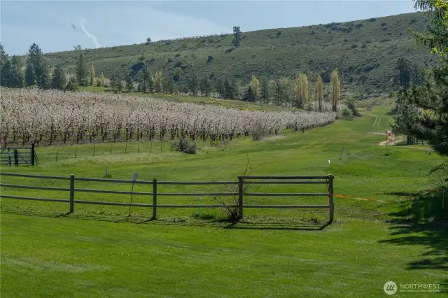 Closer view of airstrip.