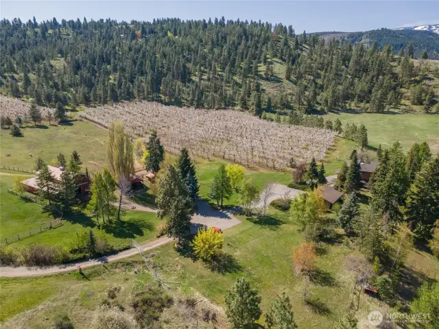 Rare land opportunity.