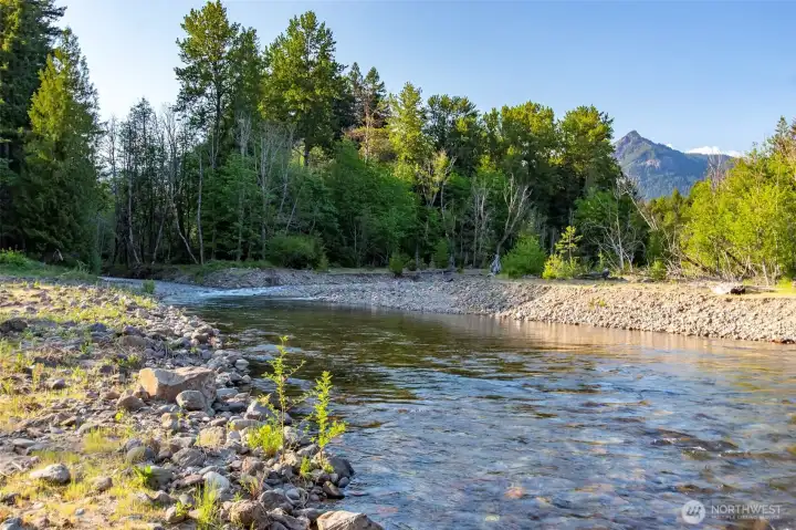 Skate Creek, looking across into State Park land