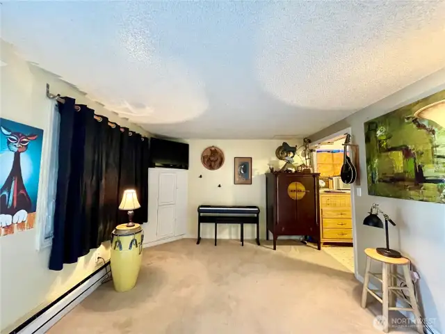 Lower level living room.