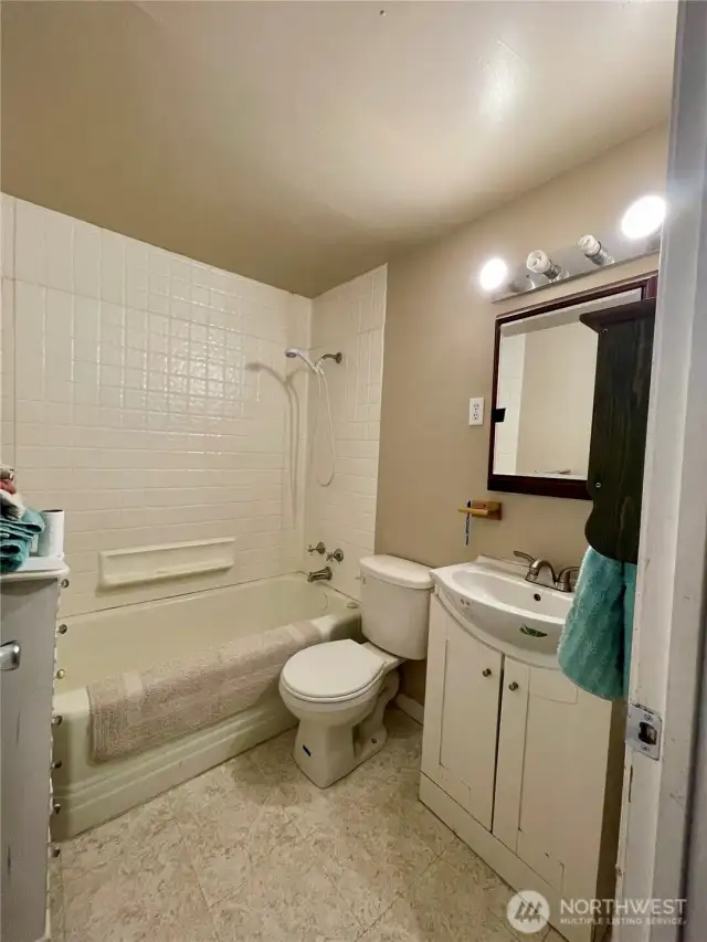 Lower level bathroom