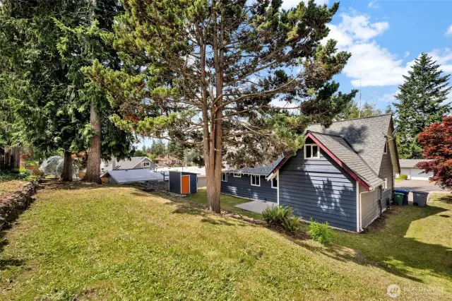 Large backyard
