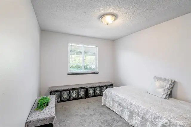 1st bedroom with new carpet and paint.