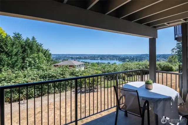 Covered porch with a view