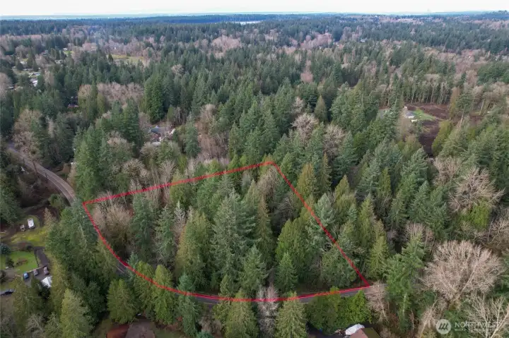 Aerial view of the full 2.08-acre parcel showing expansive lot size and shape. The large lot and Tahoma School District setting make it a compelling investment.