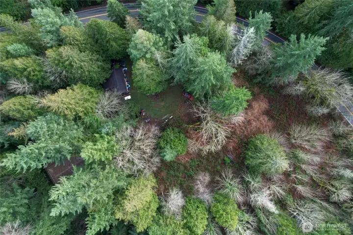 Value-add opportunity in the desirable Tahoma School District, providing an ideal foundation for a rebuild or custom new construction. Conveniently located on a paved road with close access to commuter routes.