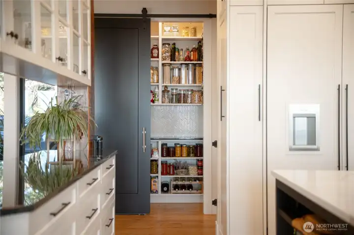Discreet pantry with easy access from the kitchen.