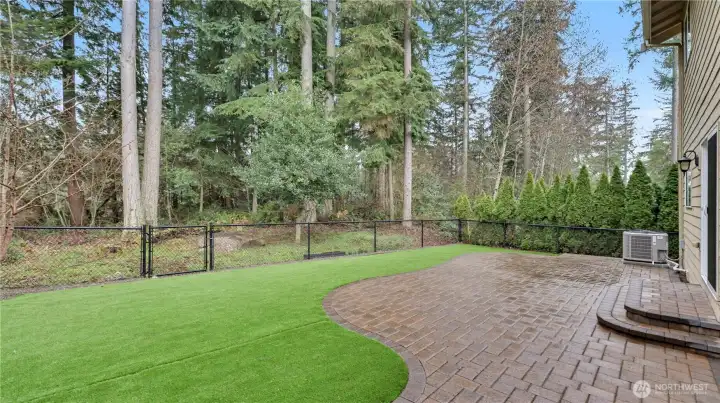 The backyard offers low-maintenance turf and a generous patio space surrounded by peaceful greenery.