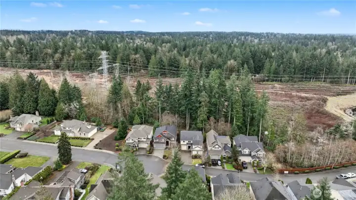 Aerial view showcasing the home’s peaceful setting surrounded by beautiful Pacific Northwest greenery.