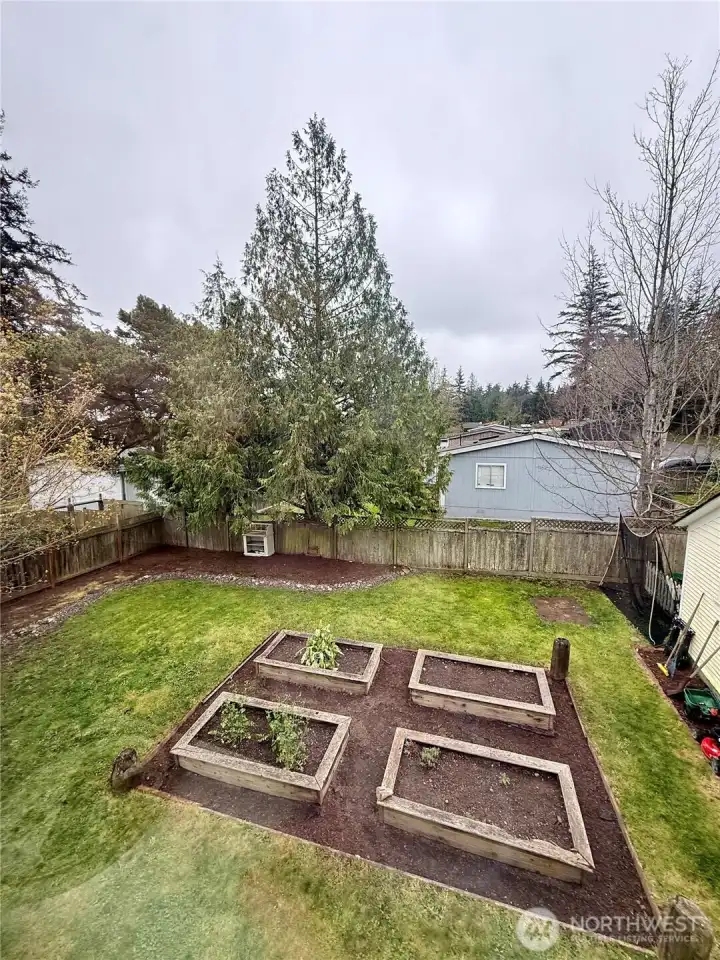 View from upstairs window looking down upon the raised garden beds.