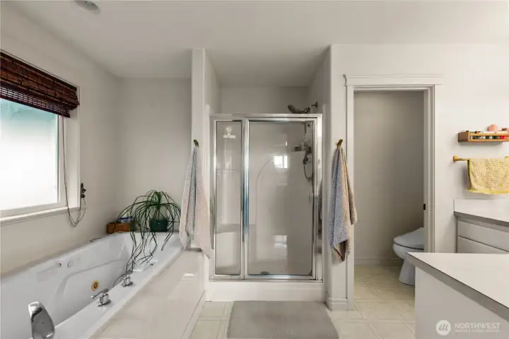 Primary bathroom