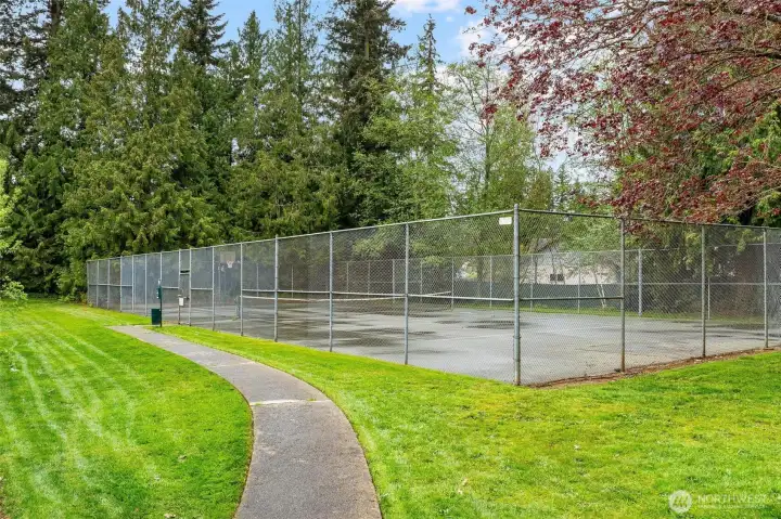 Tennis court