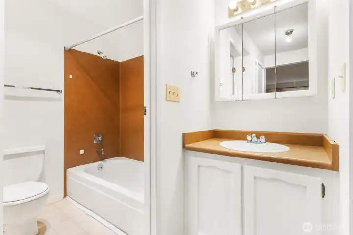 Primary Bath