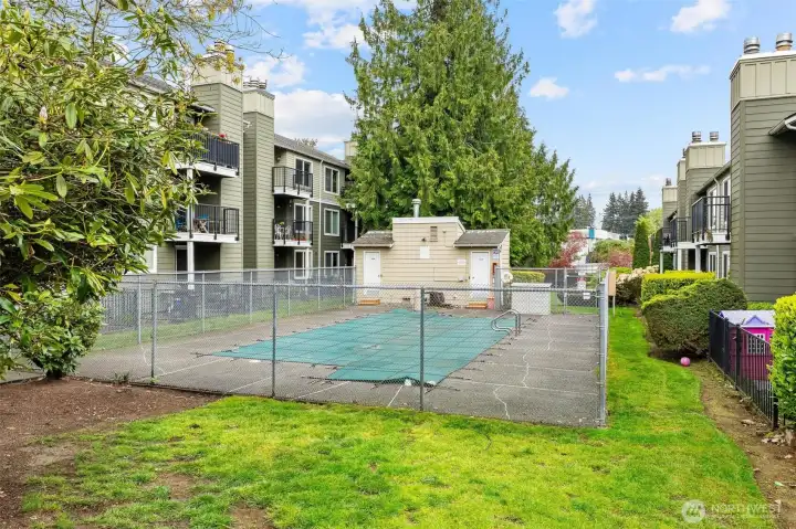 Community pool