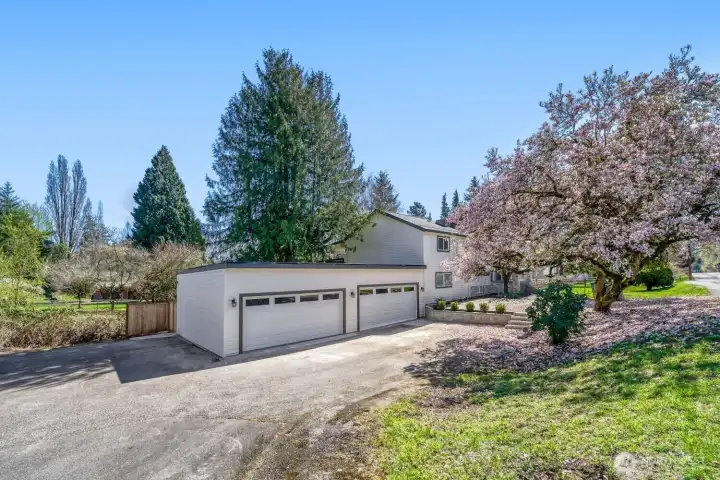 4 cars garage and multi parking spaces