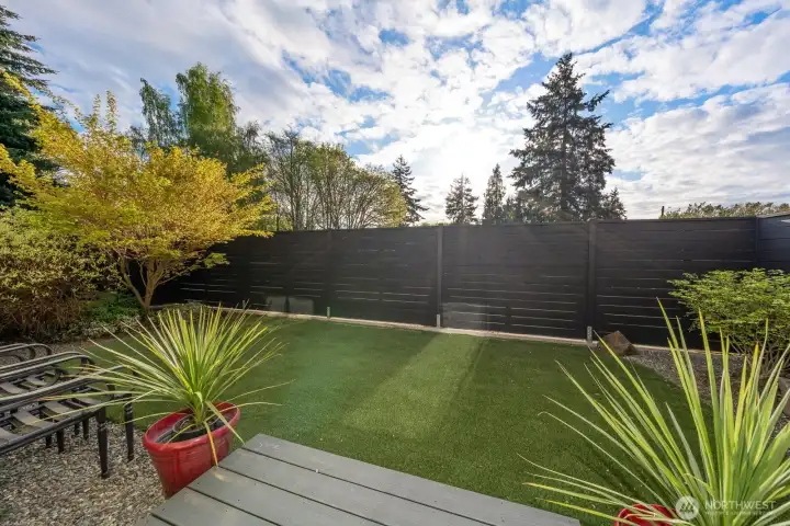 West facing backyard with low maintenance turf