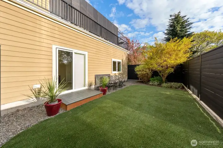 West facing backyard with low maintenance turf