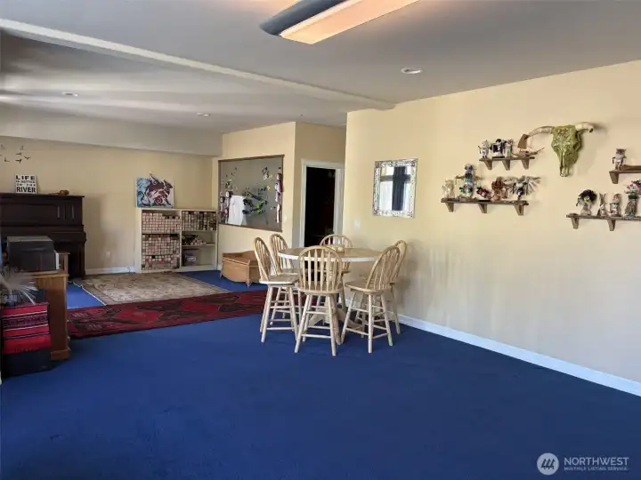 Downstairs family room