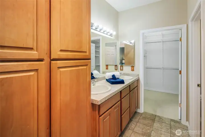 Primary bathroom....looking toward the expansive walk-in closet.