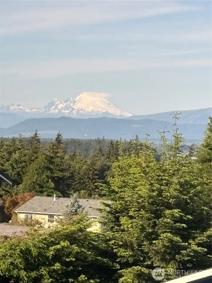 Zoom in for the view