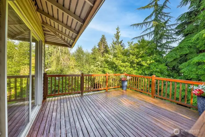 Newly stained Cedar deck overlooks the private backyard oasis creating 2 levels of entertainment in total privacy and flows effortlessly into the home.