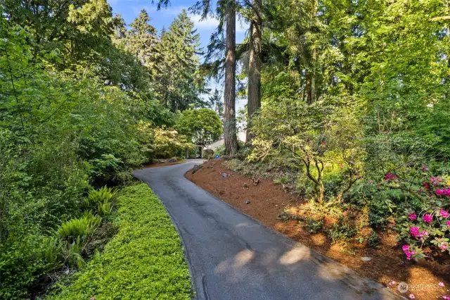 Private and lush grounds! The property is filled with mature landscaping and circular driveway ahead.