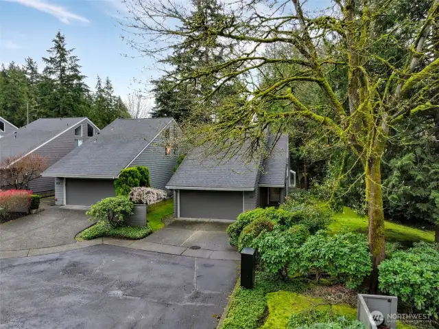 The single family house is one of nine homes that form the AIA award-winning Avant Place neighborhood, designed by the renowned architecture firm Anisoglu Associates