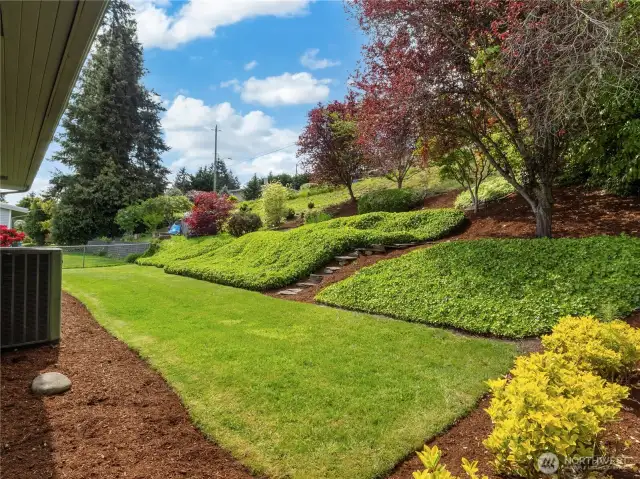 Terraced backyard provides a beautiful view from the kitchen.