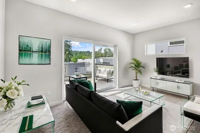 Bonus Room - Virtually Staged