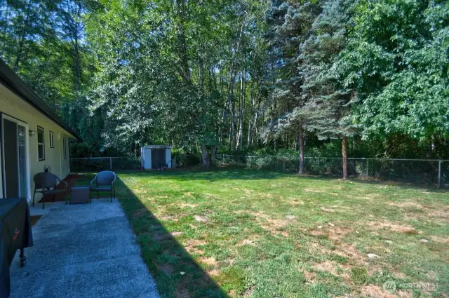 Large backyard