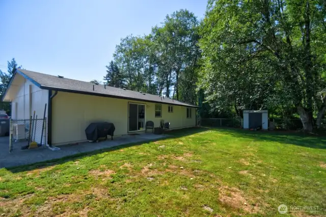 View of backyard